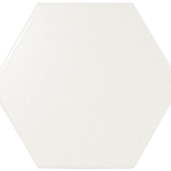 White Hexagon 5