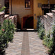 Sassone Mix 6